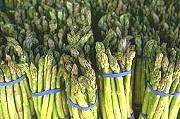Spargel-Wochen - mehr Infos bitte klicken